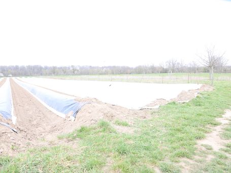 Bild 1 +3 Blenden