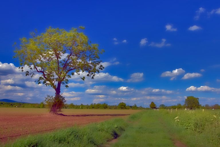 RAW-Aufnahme - HDR bearbeitet